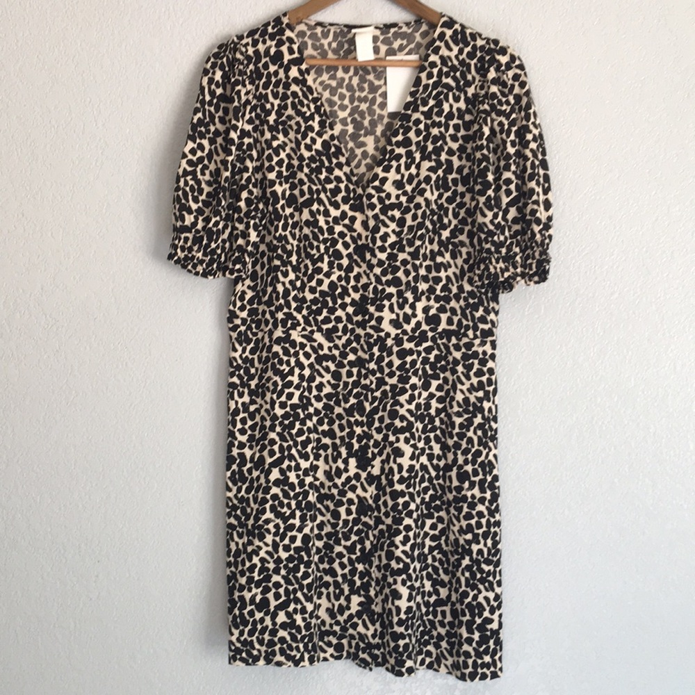 Skater Button Down Dress
